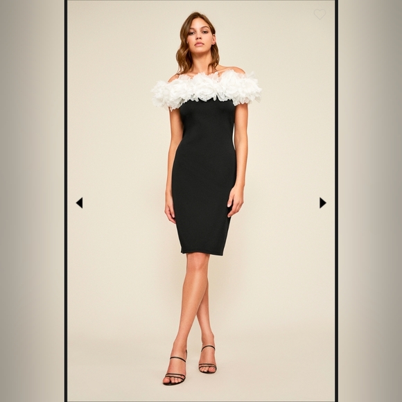Tadashi Shoji Dresses & Skirts - 💘 Tadashi Shoji Karelo Ruffled Crepe Dress
